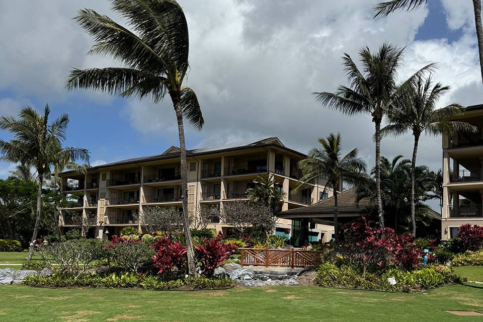 Seminar ThetaHealing | Koloa Landing